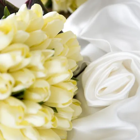 Hannon's 3* Roscommon