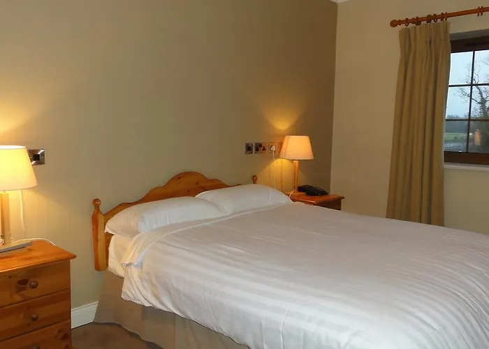 Otel Hannon's Roscommon