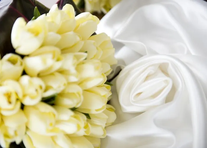 Hannon's 3* Roscommon